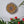 Sunflower mosaic on the wall surrounded by plants
