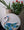 Swan mosaic on the table surrounded by plants 
