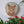 Cat mosaic on the wall surrounded by plants
