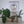 A circular mosaic wall art piece featuring a penguin with a textured geometric pattern, mounted in a white square shadow box on a white wall above a shelf with potted plants and a kiwi bird figurine.