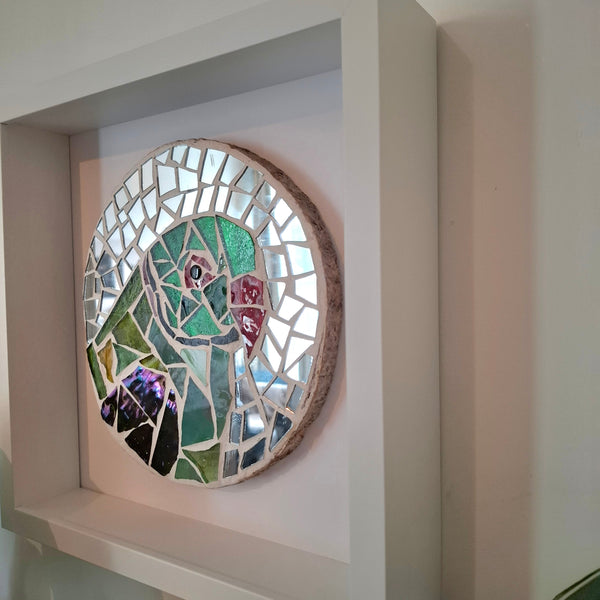 A circular stained glass art piece featuring a stylized parakeet face, mounted on a white frame.