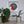 A circular stained-glass mosaic wall art piece featuring a parrot design in green, red, blue, and yellow, mounted in a white square frame on a white wall above a shelf with potted plants.