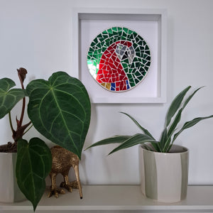 A circular stained-glass mosaic wall art piece featuring a parrot design in green, red, blue, and yellow, mounted in a white square frame on a white wall above a shelf with potted plants.