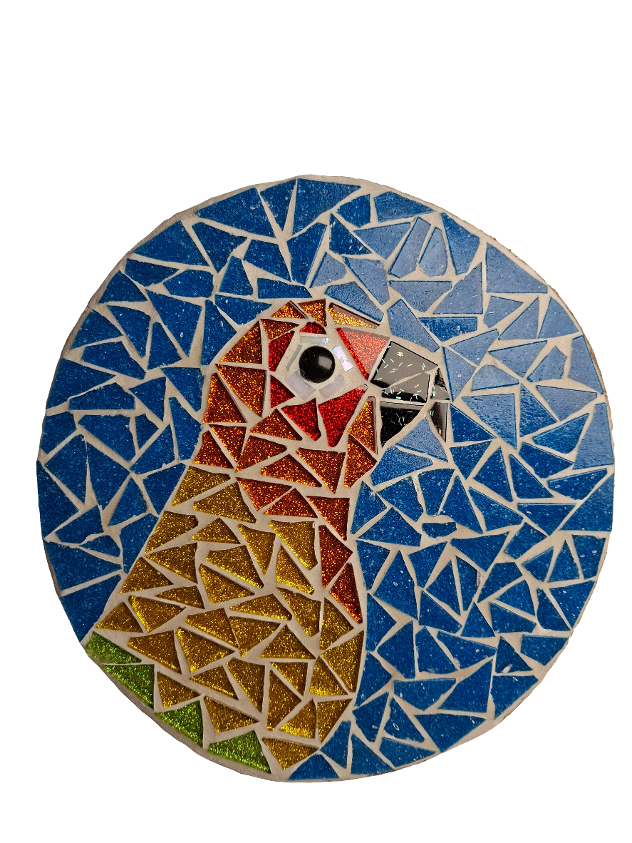 Sun Parakeet Mosaic