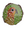 Sun Parakeet