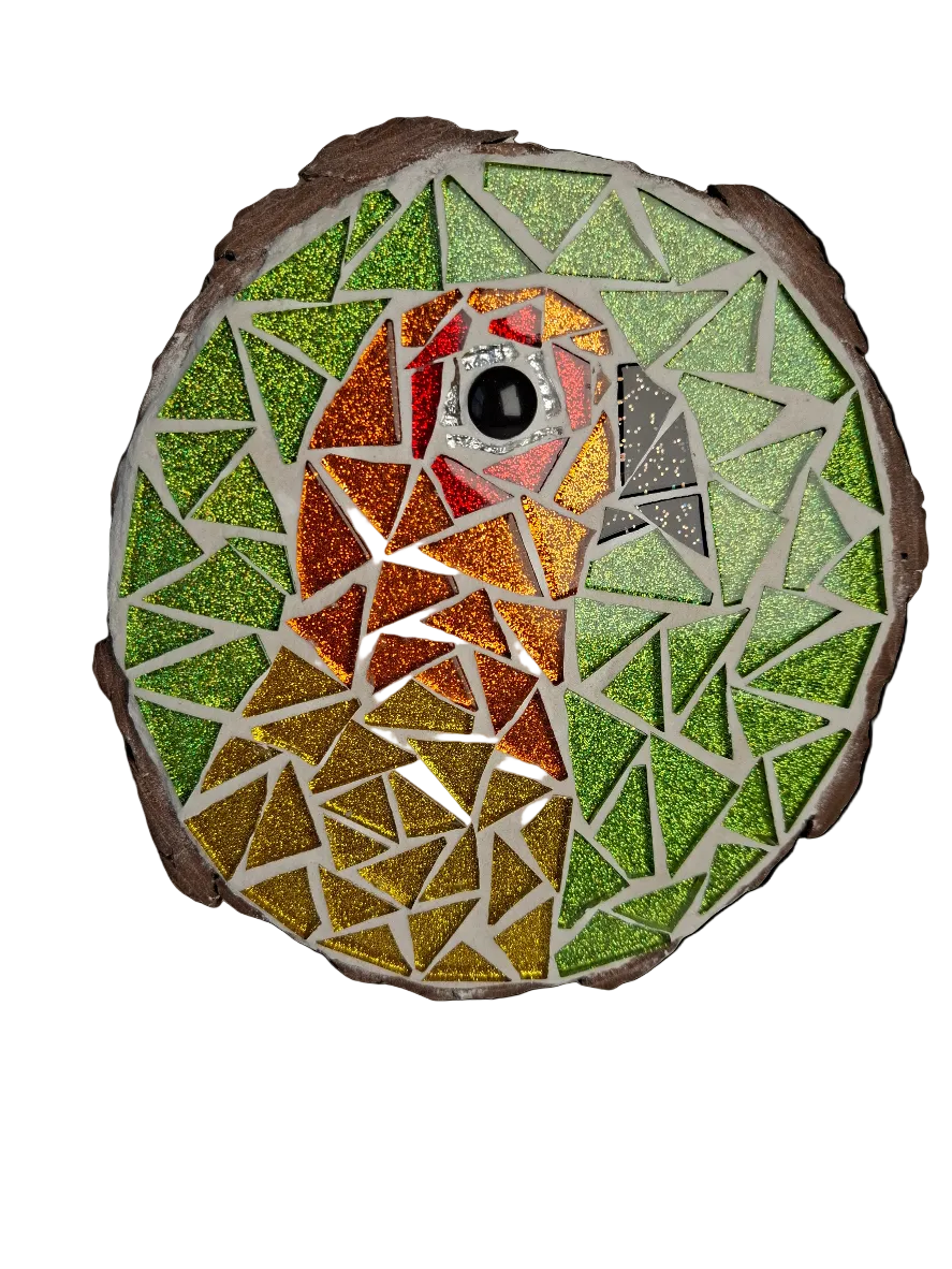 Sun Parakeet