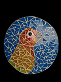 Sun Parakeet Mosaic