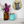 A styled interior scene with a white shelf holding an amber glass vase filled with white and purple flowers, a turquoise glass jar with a cork lid, and a round wall hanging featuring a black cat mosaic design on a gold background.