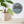 A round dragonfly mosaic wall art piece mounted on a white wall, styled next to a potted green plant on a white shelf.