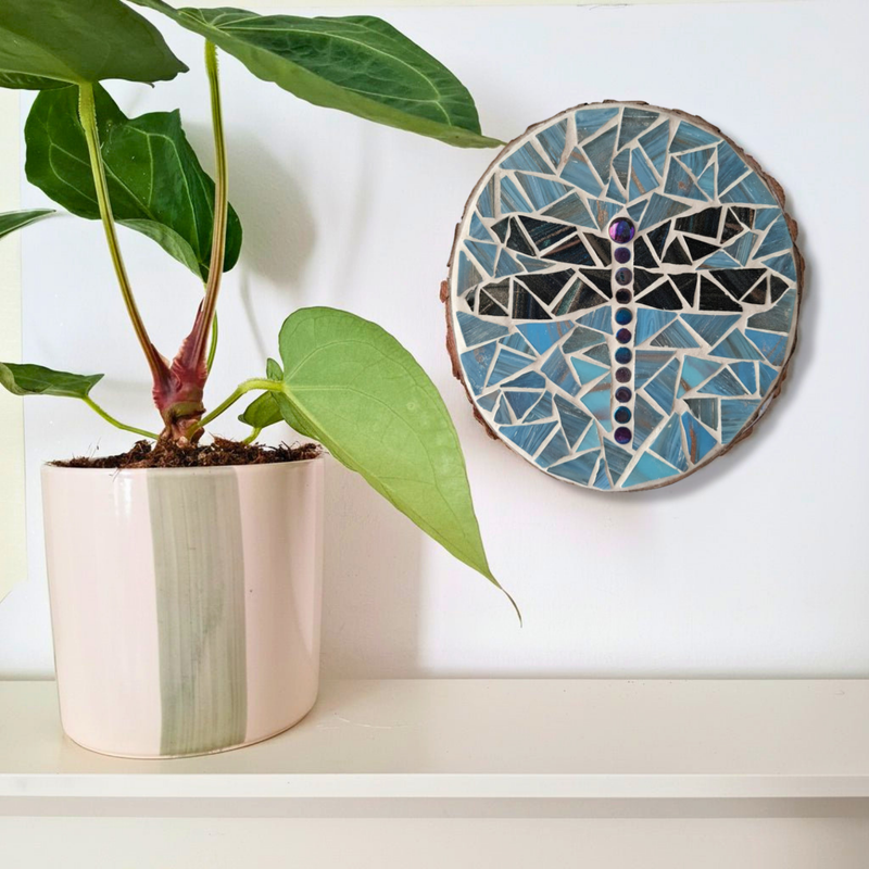 A round dragonfly mosaic wall art piece mounted on a white wall, styled next to a potted green plant on a white shelf.