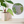 A round mosaic wall art piece featuring a greyhound made of green, grey, and white geometric pieces, displayed on a white wall next to a potted plant on a shelf.