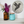 A round mosaic wall mirror with a black bird design hangs on a white wall above a shelf holding an amber glass vase with purple and white flowers and a turquoise glass jar with a cork lid.