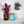 A styled interior scene showing a round mosaic of a black labrador hanging on a white wall above a shelf. On the shelf are an amber glass vase with white and purple flowers and a turquoise glass jar with a cork lid.