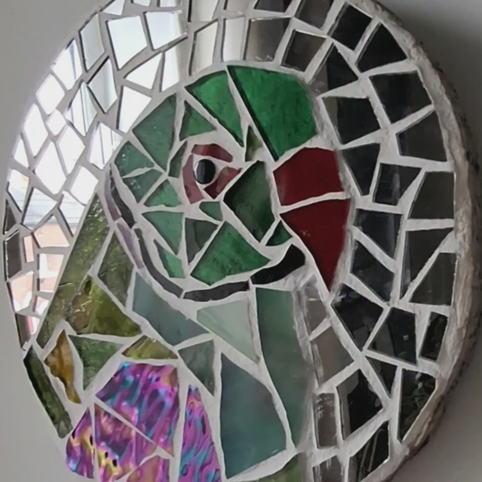 Video showing a parakeet mosaic catching light and reflections in the mirror tiles. The artist can be seen filming in the  reflective tiles.
