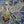 video showing close up of mosaic bee to catch the changing colours and sparkles