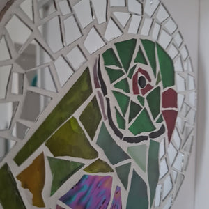 video showing close up of mosaic bird  to catch the changing colours and sparkles