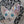 video showing close up of mosaic cat  to catch the changing colours and sparkles