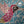 video showing close up of mosaic bird  to catch the changing colours and sparkles