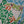 video showing close up of mosaic green frog face to catch the changing colours and sparkles