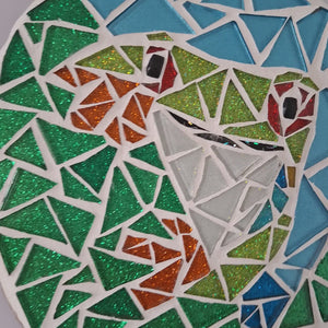 video showing close up of mosaic green frog face to catch the changing colours and sparkles