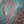 video showing close up of mosaic bird  to catch the changing colours and sparkles