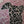 video showing close up of mosaic dog  to catch the changing colours and sparkles