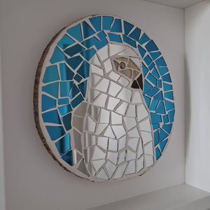 video showing close up of mosaic bird  to catch the changing colours and sparkles
