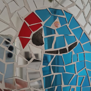 video showing close up of mosaic bird  to catch the changing colours and sparkles