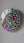 Ring-necked Parakeet