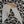 video showing close up of mosaic bat to catch the changing colours and sparkles