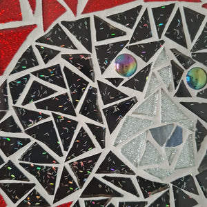 video showing close up of mosaic black and silver dog's face to catch the changing colours and sparkles