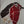 video showing close up of mosaic bird  to catch the changing colours and sparkles
