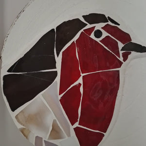 video showing close up of mosaic bird  to catch the changing colours and sparkles