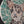 video showing close up of mosaic brown and cream dog face to catch the changing colours and sparkles