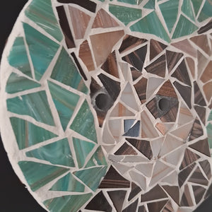 video showing close up of mosaic brown and cream dog face to catch the changing colours and sparkles