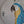 video showing close up of mosaic bird  to catch the changing colours and sparkles