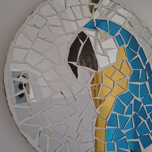 video showing close up of mosaic bird  to catch the changing colours and sparkles