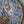 video showing close up of mosaic bird to catch the changing colours and sparkles