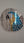 Blue & Gold Macaw