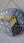 Toucan