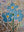 Forget me not