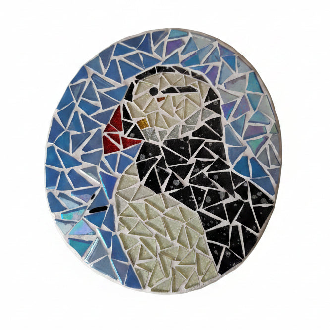 Puffin