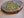 Ring-necked Parakeet