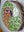 Sun Parakeet