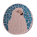 Grey Parrot