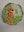 Sun Parakeet