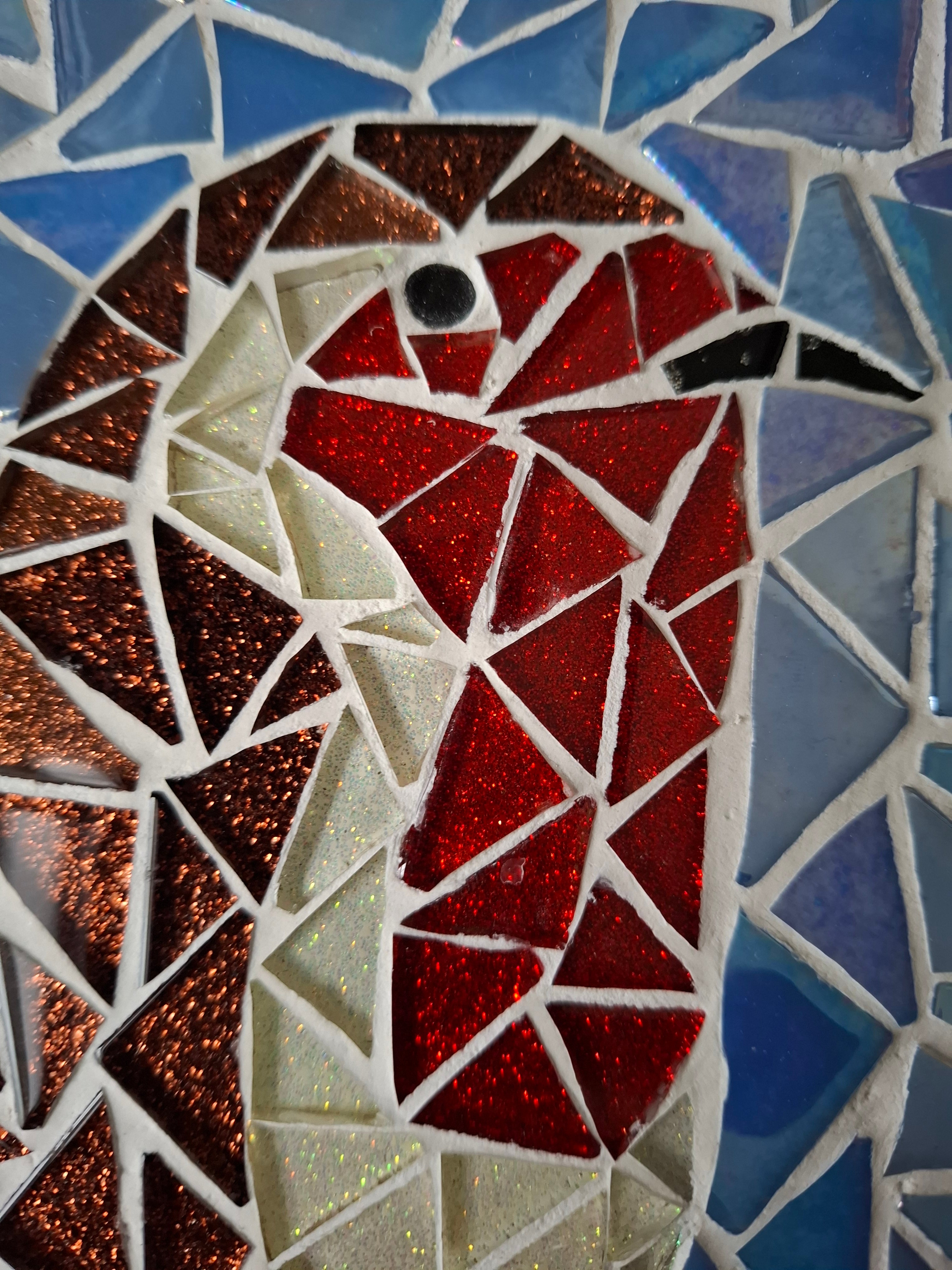 Robin Mosaic