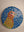 Sun Parakeet