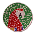 Scarlet Macaw